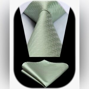 NEW Hisdern Sage Green Necktie NWT